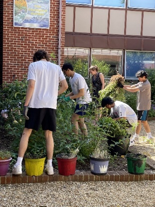 gardening club