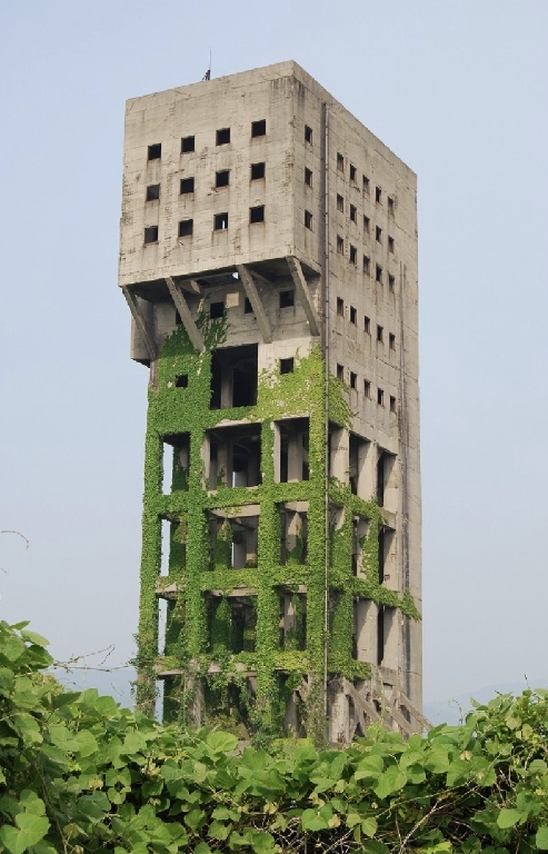 Corey Hayes (Year 8) - Junior Runner-Up Vegetation growing over a concrete building